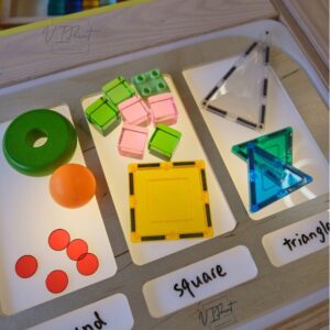 Trofast Insert - Large sorting Insert for Flisat Sensory table